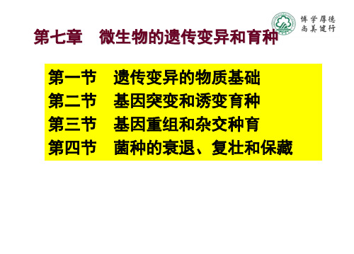 知识点1遗传变异的物质基础