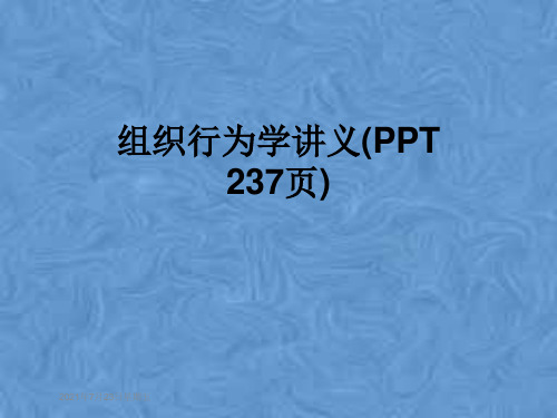 组织行为学讲义(PPT 237页)