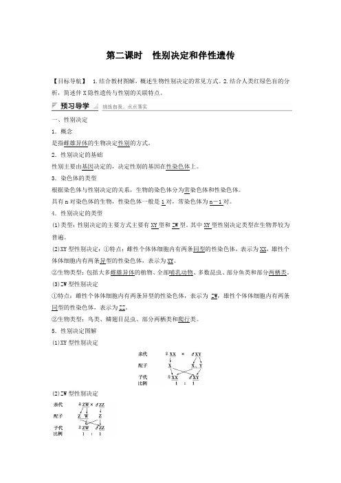 2018-2019学年高中生物(苏教版必修二)学案文档:第三章 第二节 第二课时 性别决定和伴性遗传