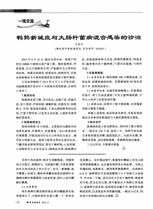 鹌鹑新城疫与大肠杆菌病混合感染的诊治