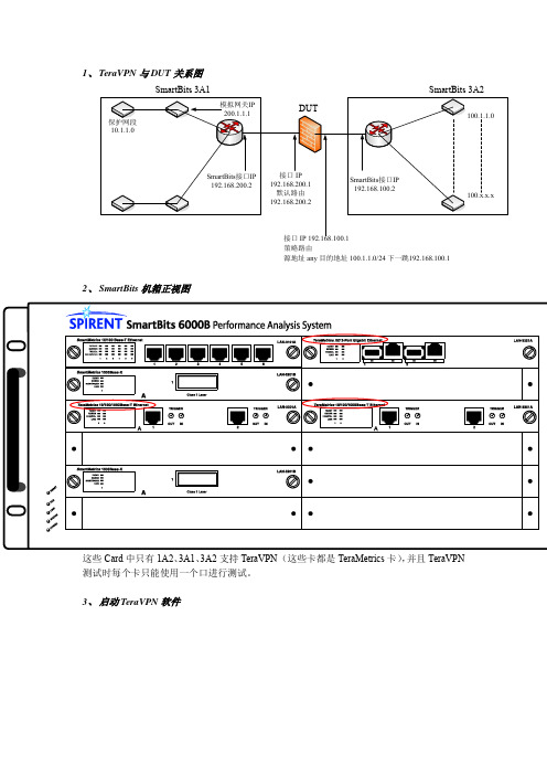 SmartBits_TeraVPN测试文档