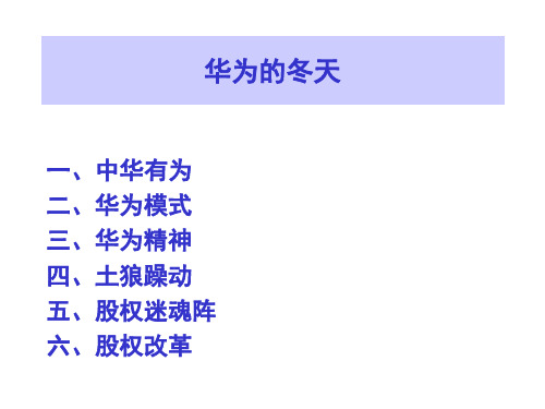 华为的冬天. 资本运营与风险管理(案例)