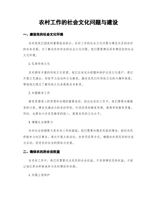 农村工作的社会文化问题与建设