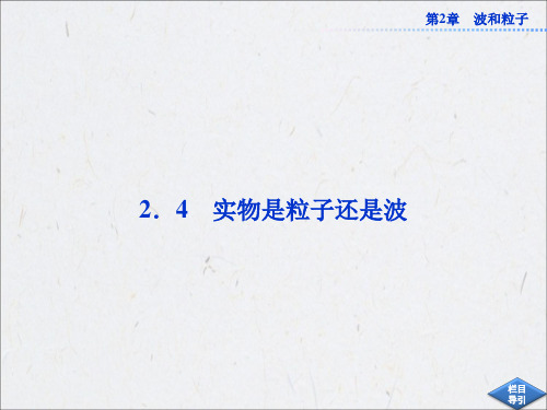 第2章2.4实物是波还是粒子解析