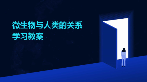 2024微生物与人类的关系学习教案