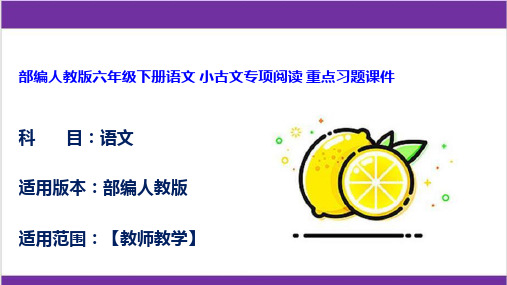 部编人教版六年级下册语文 小古文专项阅读 重点习题课件