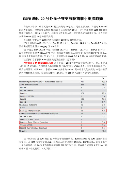 EGFR基因20号外显子突变与NSCLC