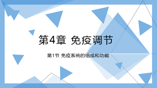 免疫系统的组成和功能课件-高二生物人教版选择性必修1