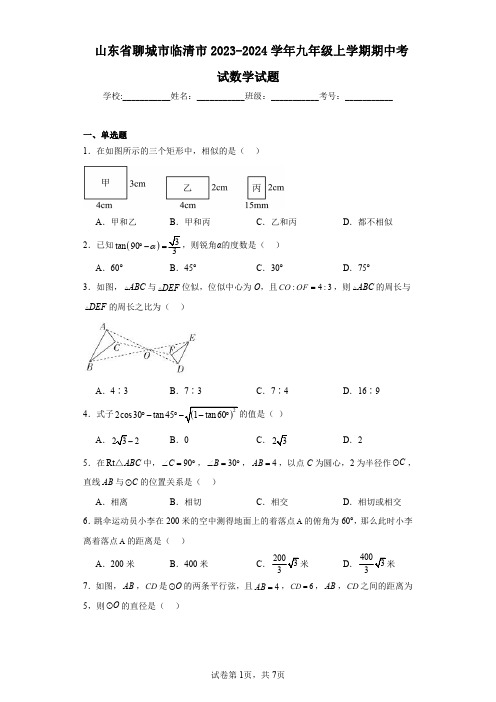 山东省聊城市临清市2023-2024学年九年级上学期期中考试数学试题