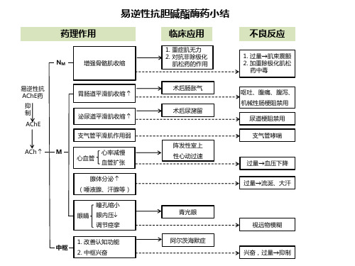 小结：易逆性抗胆碱酯酶药