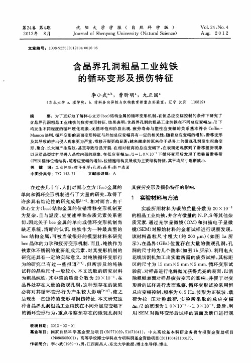 含晶界孔洞粗晶工业纯铁的循环变形及损伤特征