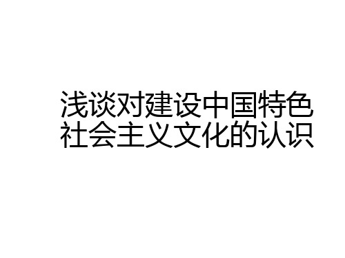 浅谈对建设中国特色社会主义的认识-