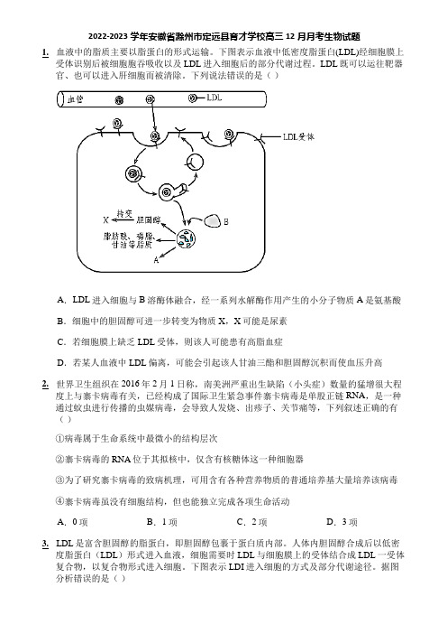 2022-2023学年安徽省滁州市定远县育才学校高三12月月考生物试题