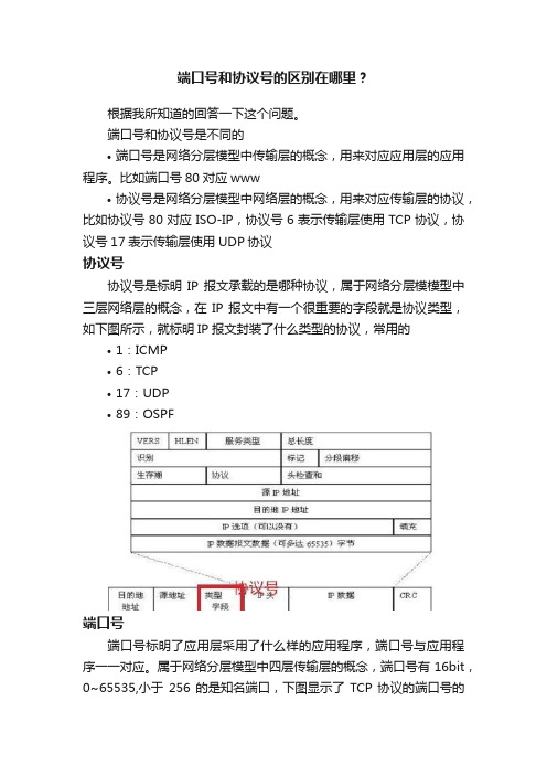 端口号和协议号的区别在哪里？