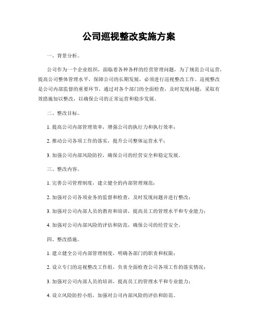 公司巡视整改实施方案