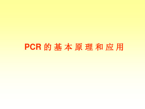 PCR的基本原理和应用 PPT课件