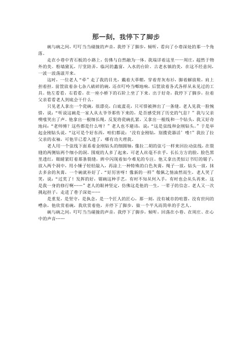 初中作文——话题《那一刻,我停下了脚步》 (1)