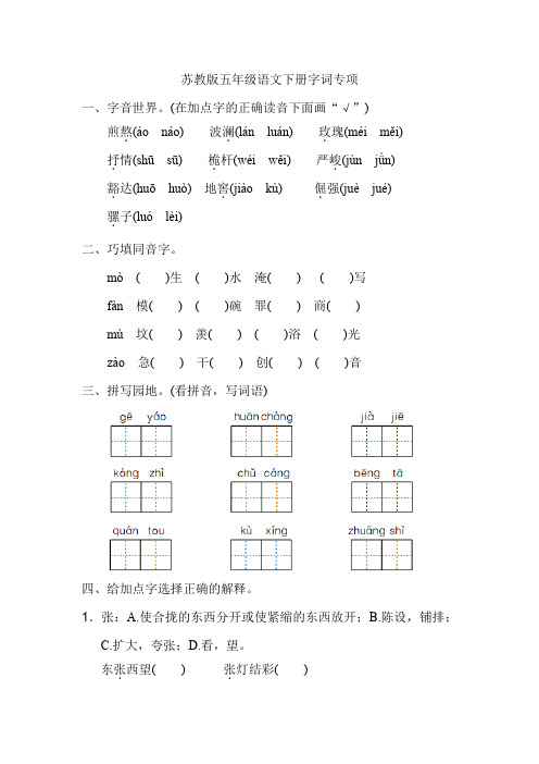 苏教版五年级语文下册字词专项