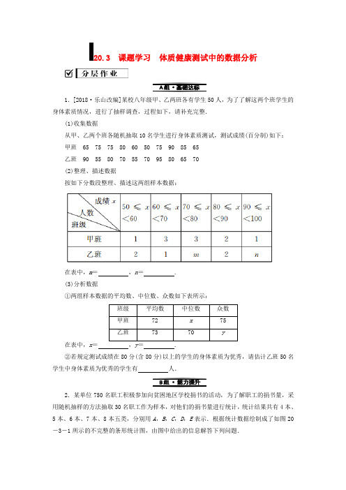 2018-2019学年八年级数学下册 第二十章 数据的分析 20.3 课题学习 体质健康测试中的