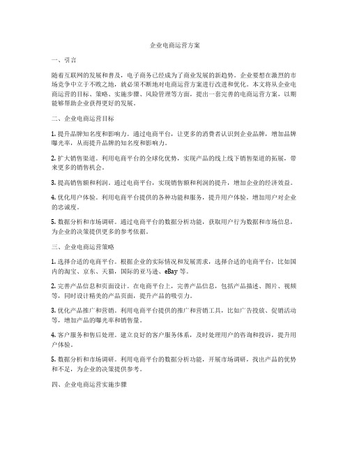 企业电商运营方案