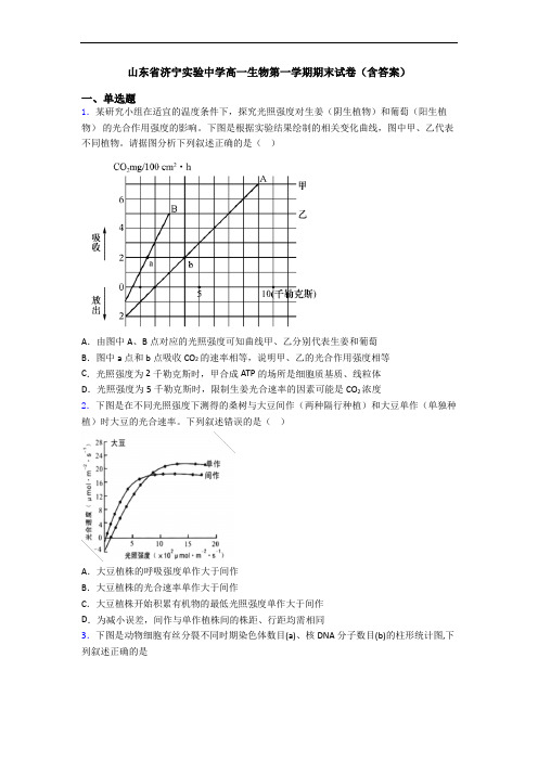 山东省济宁实验中学高一生物第一学期期末试卷(含答案)