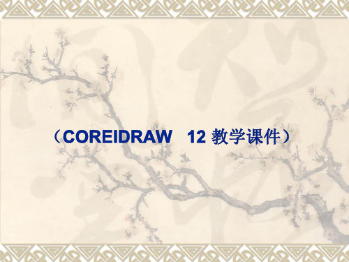 CorelDRAW 12教程1