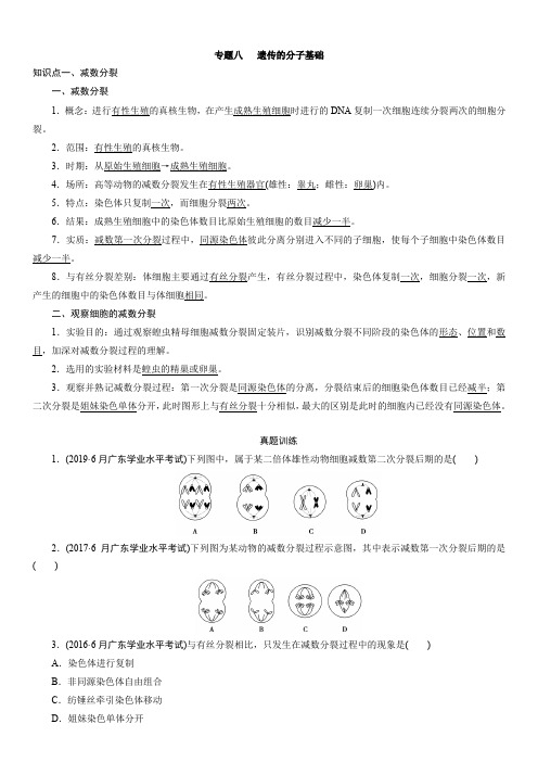 2020学年  广东省普通高中学业水平考试  生物专题八  遗传的分子基础