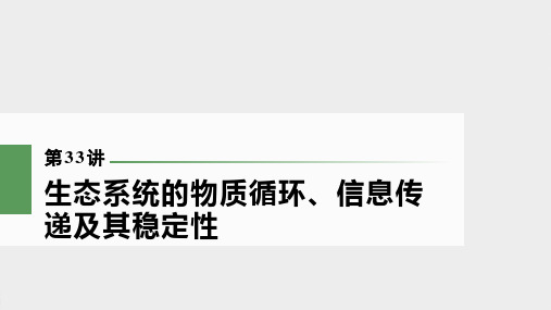 新高考生态系统的物质循环、信息传递及其稳定性(99张)课件