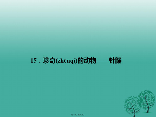 原(季版)七年级语文下册第四单元15珍奇的动物针鼹课件语文版