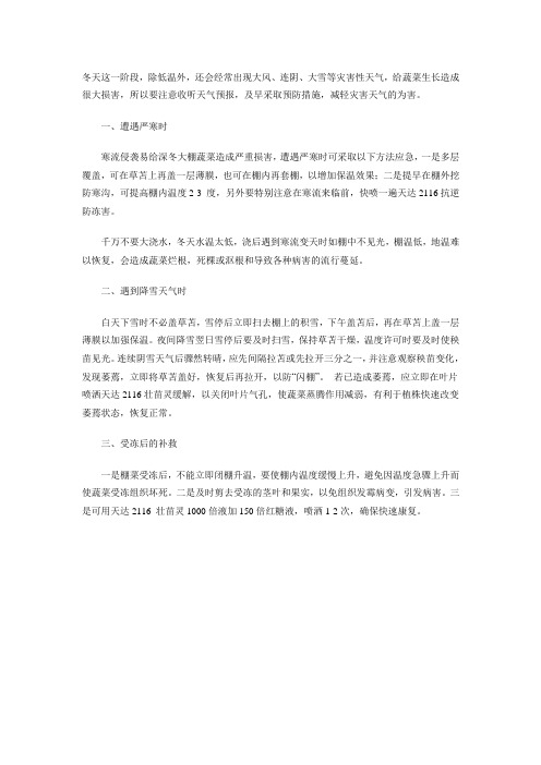 冬季大棚蔬菜如何应对极端天气灾害