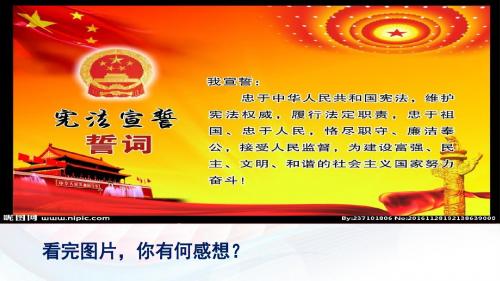 人教部编版初中八年级道德与法治下册1.1公民权利的保障书 课件(共22张PPT)