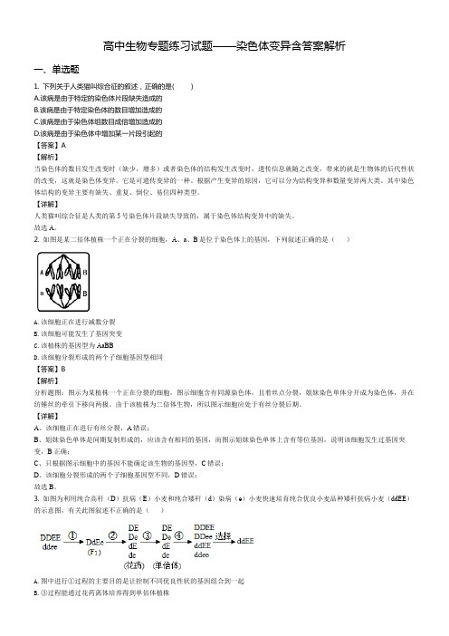 高中生物专题练习试题——染色体变异含答案解析