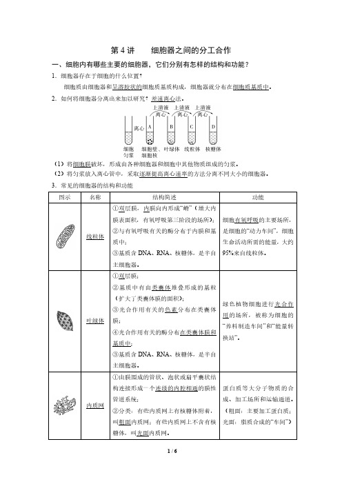 高中生物必考知识点-第4讲-细胞器之间的分工合作