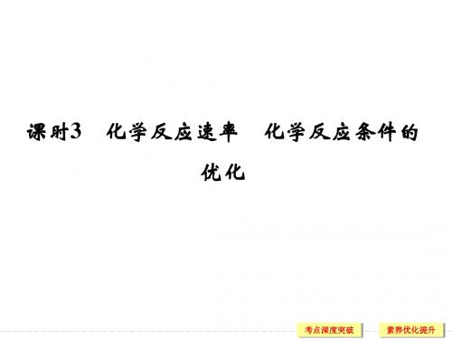 化学反应速率 鲁科版高中化学一轮复习PPT(配有doc练习)
