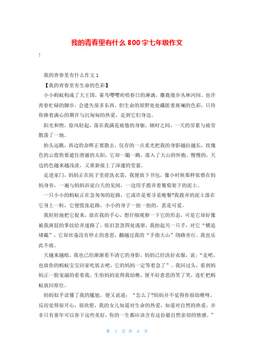 我的青春里有什么800字七年级作文