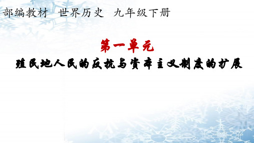 初三九年级历史复习课殖民地人民的反抗与资本主义制度的扩展课件