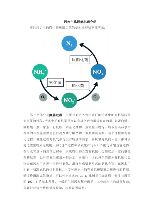 污水生化脱氮机理介绍