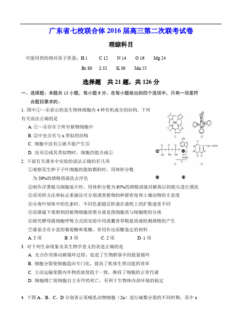 广东省七校联合体2016届高三第二次(12月)联考理综试题及答案