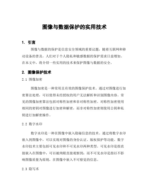 图像与数据保护的实用技术