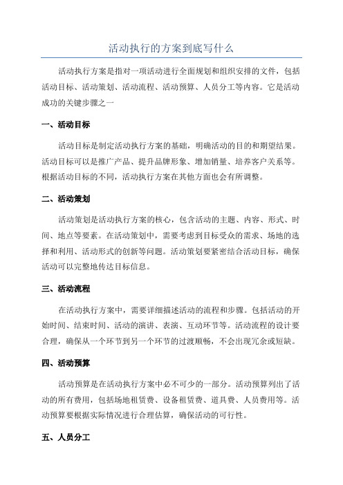 活动执行的方案到底写什么