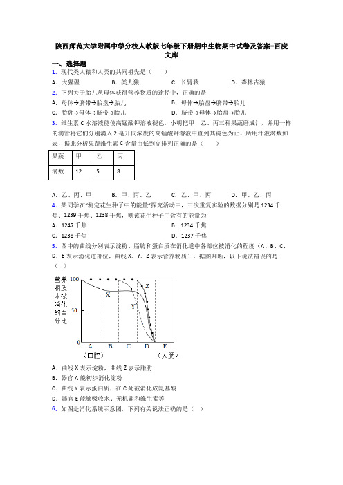 陕西师范大学附属中学分校人教版七年级下册期中生物期中试卷及答案-百度文库