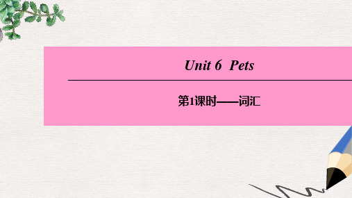 八年级英语下册Unit6Pets第1课时词汇课件牛津深圳版