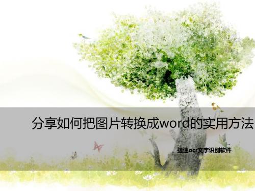 分享如何把图片转换成word的实用方法