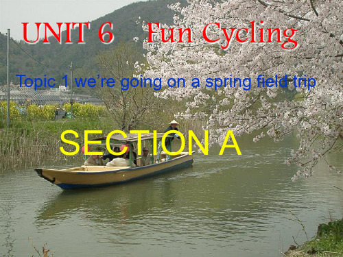 八年级英语下册 Unit 6 Enjoying Cycling Topic 1课件2 仁爱湘教版