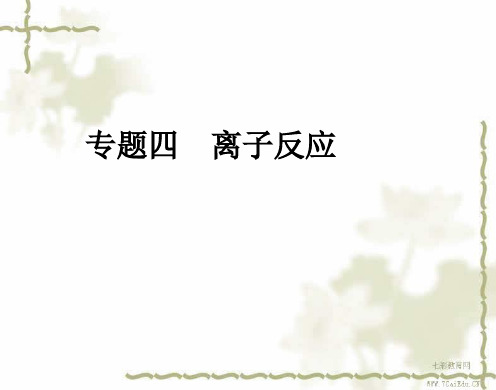 2019高考化学二轮精品复习资料 专题4 离子反应同步课件.ppt