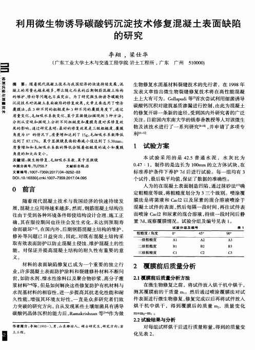 利用微生物诱导碳酸钙沉淀技术修复混凝土表面缺陷的研究