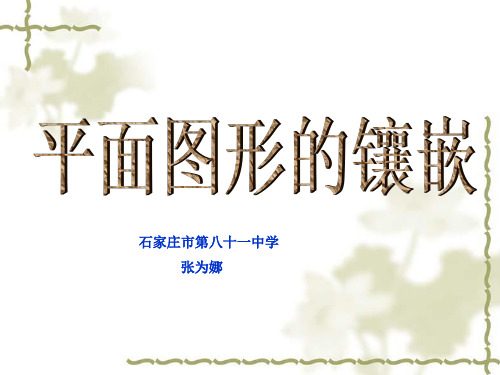 平面图形的镶嵌