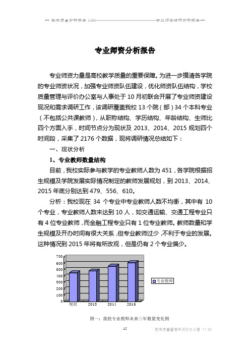 专业师资分析报告