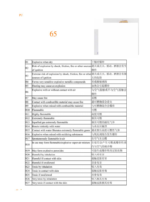 危险品65个等级中英文短语对照含义