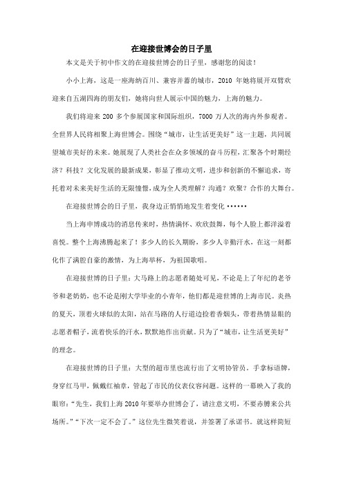 在迎接世博会的日子里_初中作文